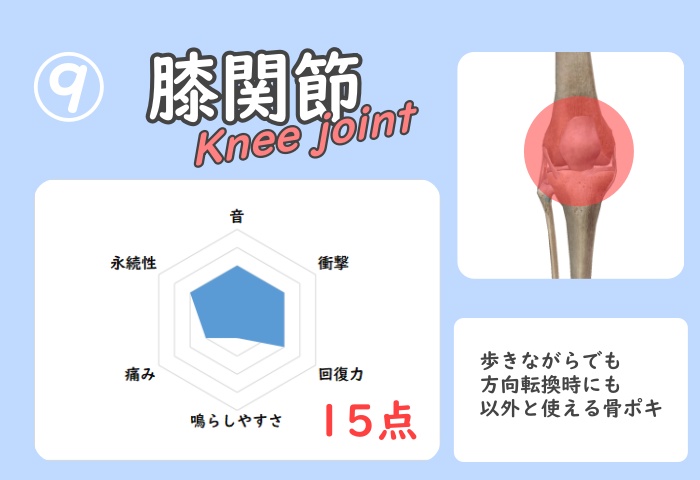 膝関節の骨ポキグラフ