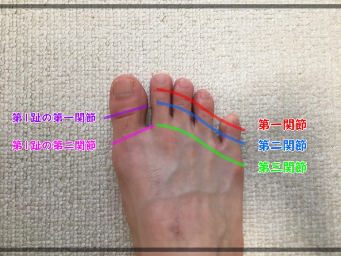 足の指の関節