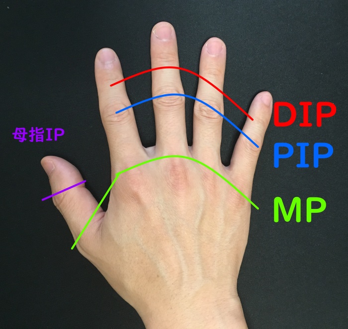 手の指の関節 リアル画像